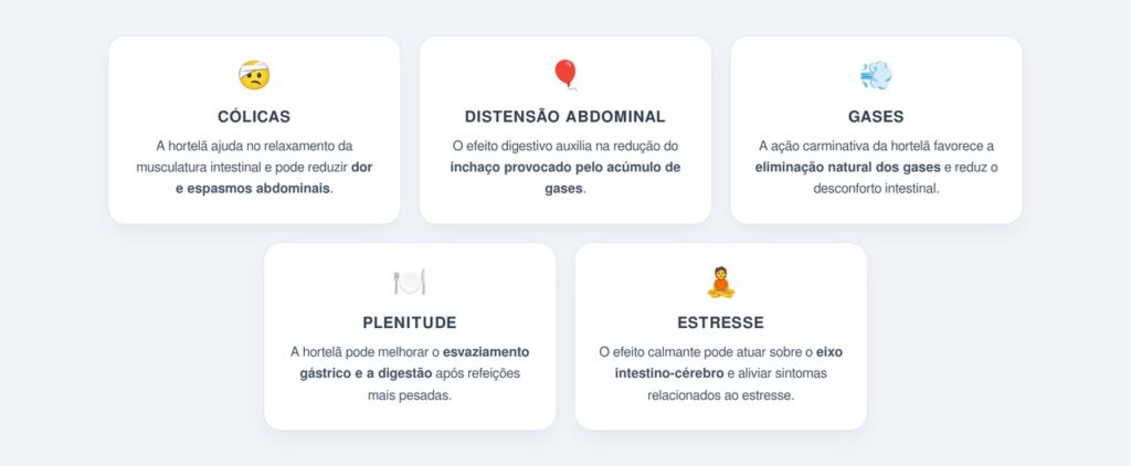Quais sintomas podem ser aliviados pela hortelã?