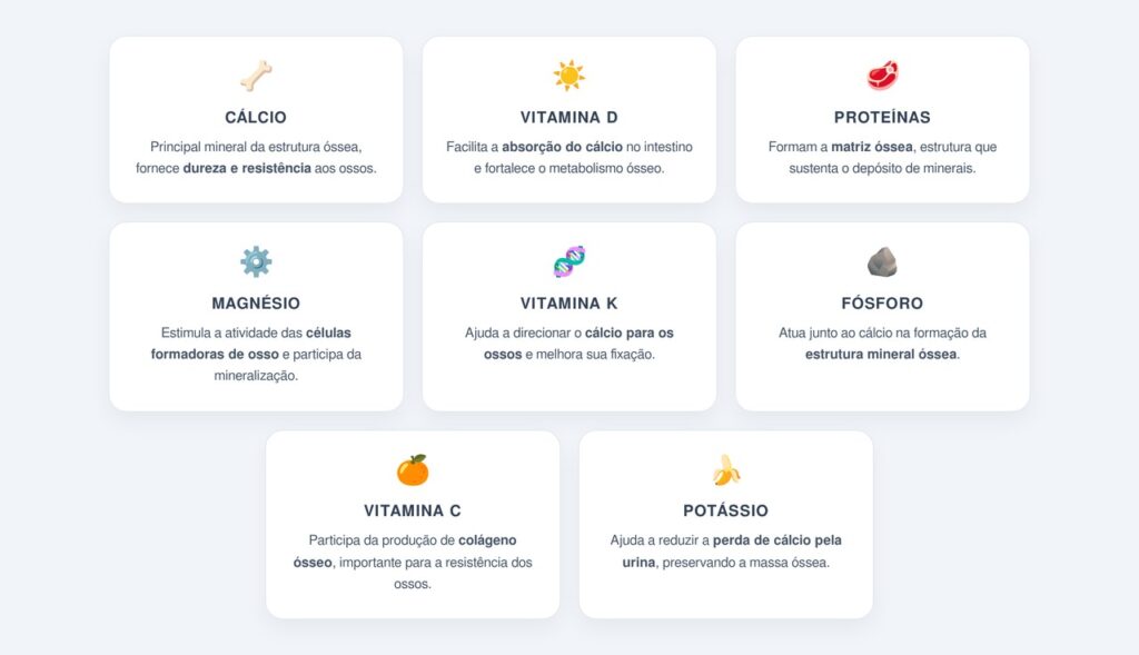 Quais nutrientes são fundamentais?