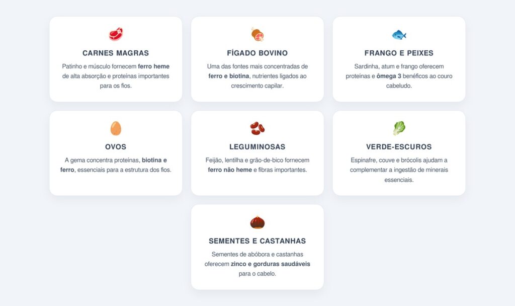 Quais alimentos contêm ferro, proteínas e zinco?