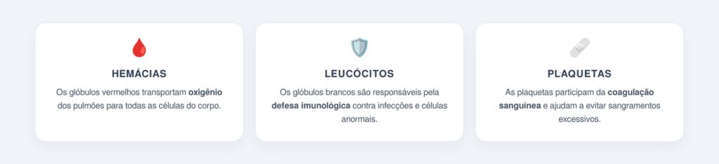 Quais células a medula óssea produz?