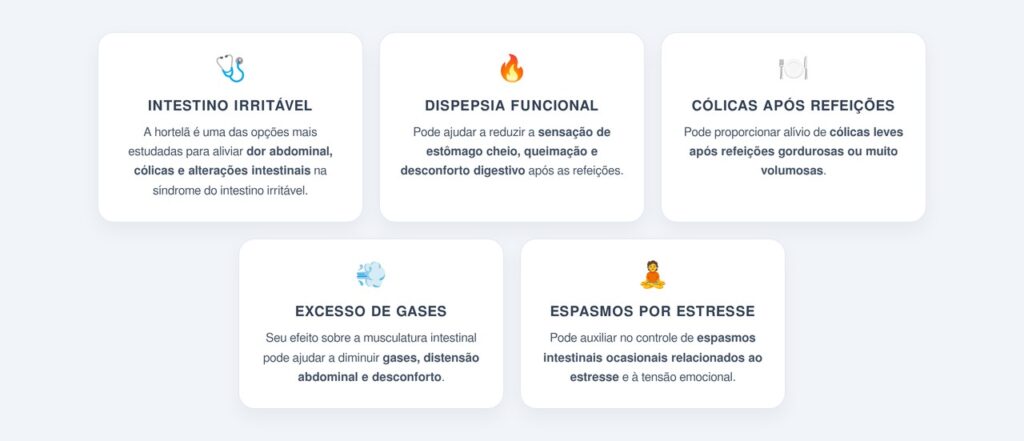 Em quais situações a hortelã é mais indicada?