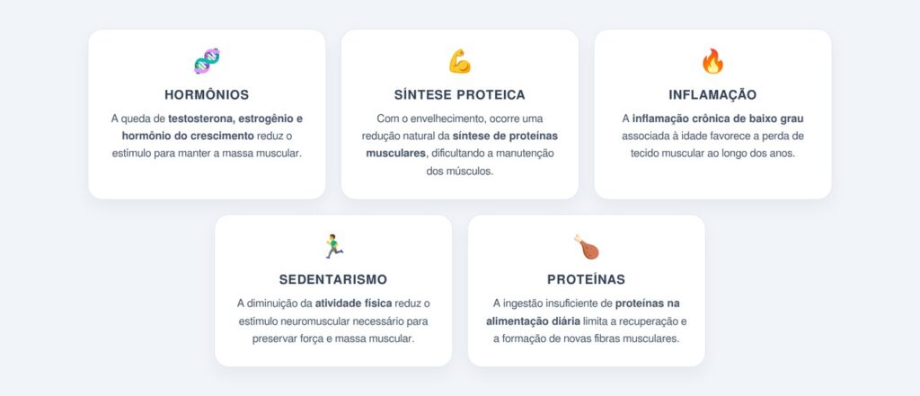 Por que o corpo perde músculos com a idade?