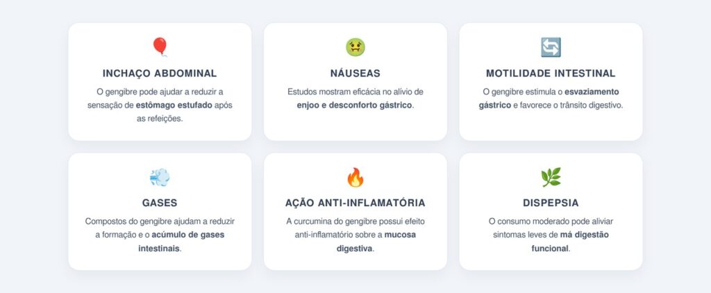 Quais benefícios digestivos do gengibre são comprovados?