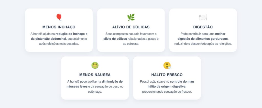 Quais são os principais benefícios da hortelã para o intestino?