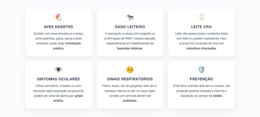 Gripe Aviária em Humanos: Exposição a Aves ou Gado que Exige Atenção
