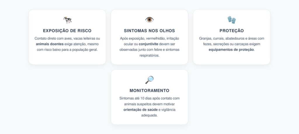 Gripe Aviária: Contato com Animais Doentes que Exige Atenção