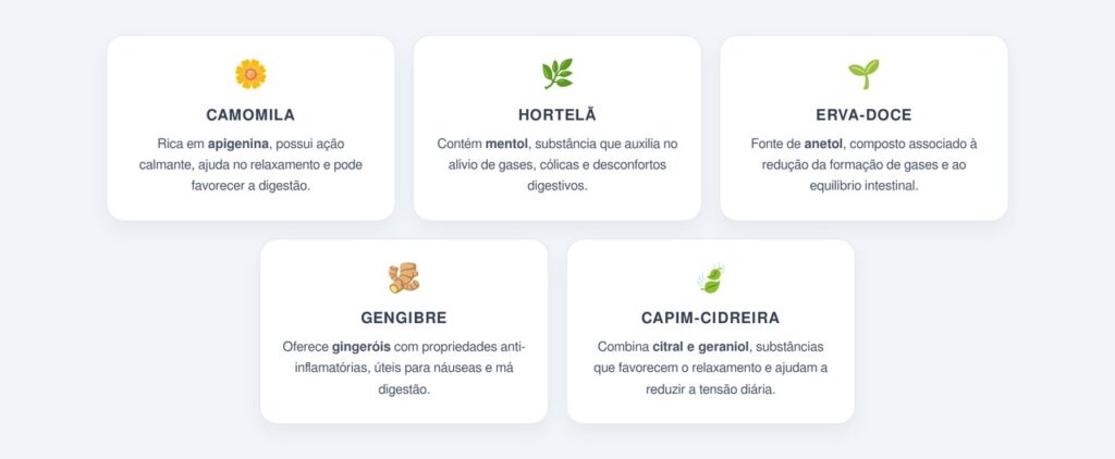 Quais são os 5 chás tradicionais mais indicados?