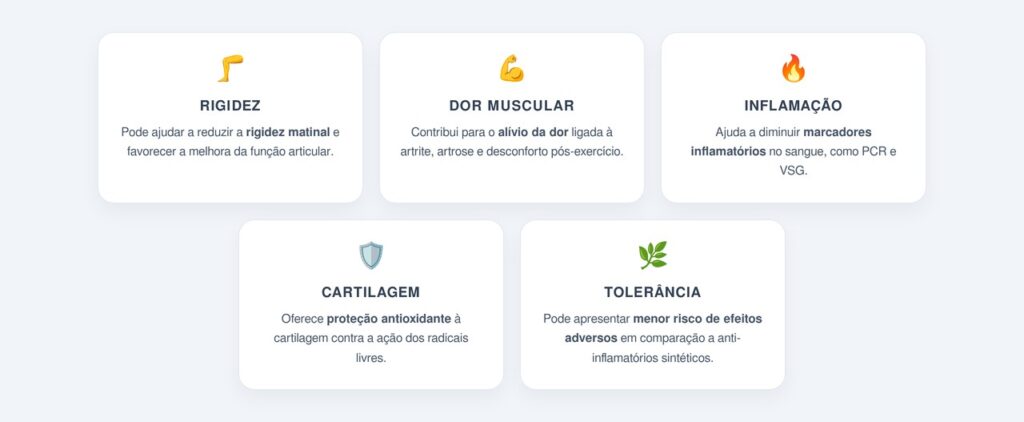 Quais são os benefícios para articulações e músculos?