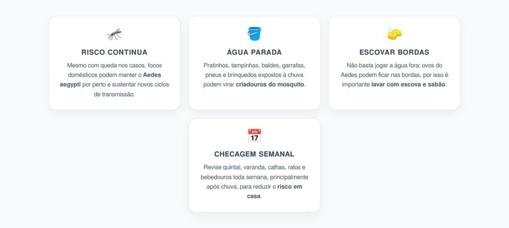 Dengue em Queda: O Erro em Casa que Ainda Mantém o Aedes por Perto