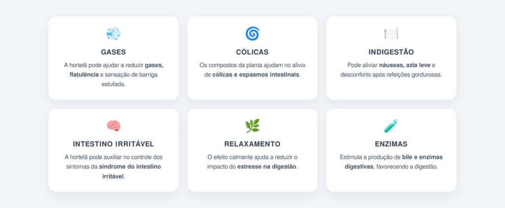Quais são os benefícios da hortelã para a digestão?