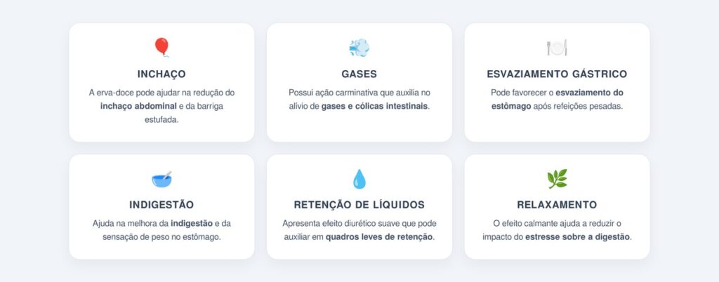 Quais são os principais benefícios para a digestão?