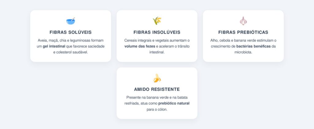 Qual o papel das fibras na saúde intestinal?