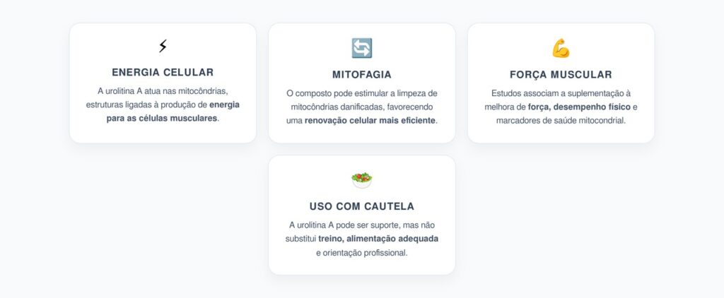 Urolitina A: Mitocôndrias, Força Muscular e Resistência no Envelhecimento