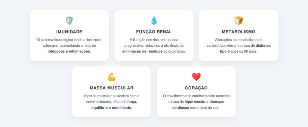 Quais mudanças acontecem após os 60 anos?