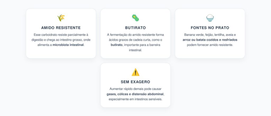 Amido Resistente: A Fibra que Alimenta o Intestino e Pode Influenciar o Metabolismo