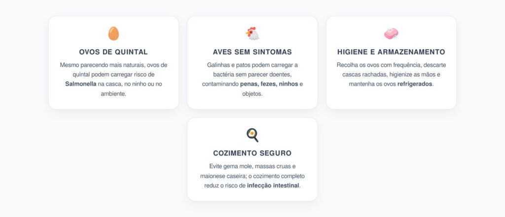 Ovos de Quintal e Salmonella: O Alerta para Famílias com Galinhas em Casa