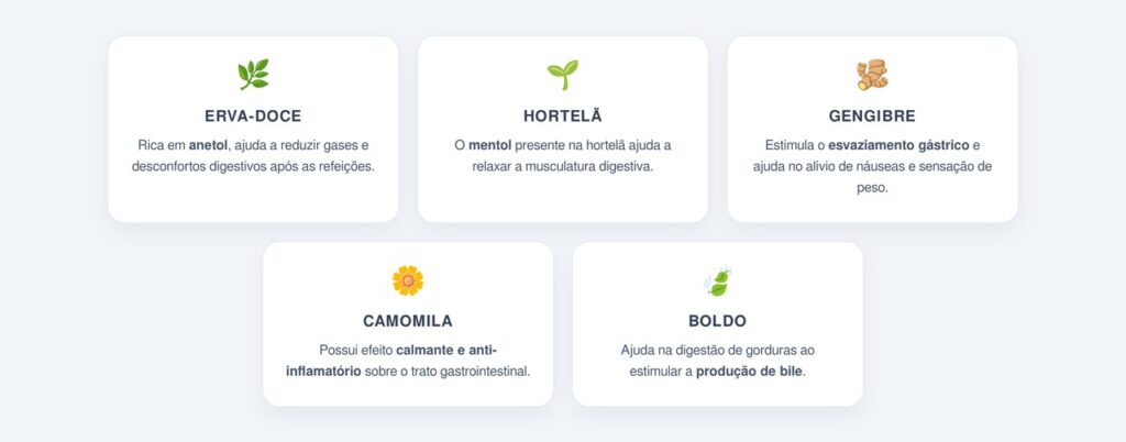 Quais chás digestivos são indicados após o almoço?