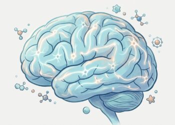 "Combustível do cérebro": 3 alimentos ideais para aumentar o foco mental e proteger os neurônios naturalmente