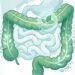 Qual o efeito do consumo de hortelã na síndrome do intestino irritável?