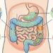Estufamento frequente após comer não é sempre glúten: quando pensar em digestão lenta, lactose ou intestino irritável