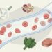 Anemia: sintomas, causas e quando o cansaço merece atenção médica