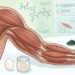Para maiores de 50 anos: três fontes de proteína de alta qualidade fáceis de adicionar à dieta