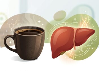 O que acontece com o fígado quando o café entra na rotina diária? O que estudos recentes investigaram