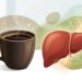 O que acontece com o fígado quando o café entra na rotina diária? O que estudos recentes investigaram