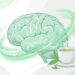 5 benefícios potenciais do chá verde