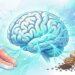 Qual é o nutriente realmente fundamental para o bom funcionamento do cérebro