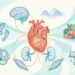 Dez hábitos essenciais para manter a saúde cardiovascular: por que ela é um pilar do bem-estar geral