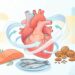 Qual é o nutriente realmente fundamental para um coração saudável
