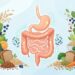 O que comer para cuidar do intestino: a relação entre digestão e fibras