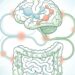 Existe alguma relação entre intestino preso e ansiedade?