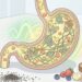 Proteína no café da manhã: o ajuste simples que pode aumentar saciedade sem depender de beliscar doce