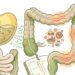 4 motivos para sentir necessidade de defecar imediatamente após comer