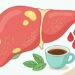 Café e fígado gorduroso: o que um estudo recente mostra sobre enzimas hepáticas