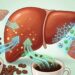 Qual a relação entre a esteatose hepática e o café?
