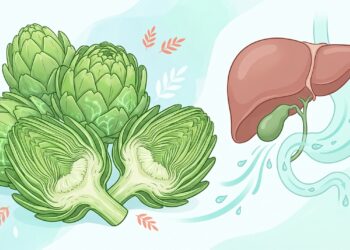 A melhor erva para ajudar na digestão de gorduras e estimular a bile naturalmente