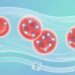 Hemoglobina glicada: o exame que revela a média do açúcar no sangue antes de sintomas evidentes