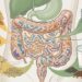 A maioria das pessoas se concentra em ovos e carne quando pensa em proteína, mas é importante variar a fonte para também incorporar fibras e cuidar da microbiota