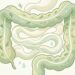 Fibras e intestino preso: qual a ingestão diária recomendada para apoiar o funcionamento intestinal?