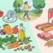 O que comer para cuidar do coração: a relação entre dieta e saúde cardiovascular