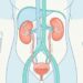 Sentir sede excessiva e ter vontade de urinar várias vezes ao dia com frequência pode ser um dos primeiros sinais de diabetes tipo 2