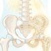 Osteoporose: por que ela costuma ser silenciosa e como manter os ossos fortes