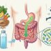 7 hábitos para manter o intestino funcionando bem