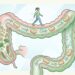 Prisão de ventre e desconforto abdominal. Três hábitos ajudam a regular o intestino