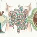 Qual a relação entre exercício físico, microbiota intestinal e diabetes tipo 2?