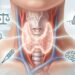 Tireoide: 7 coisas que você precisa saber para identificar sinais de alerta