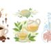 Café, chá ou água com limão: qual é a melhor opção para começar o dia?
